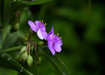 10 Signs It’s Time to Update Your Budget: Are You Missing These Key Triggers?