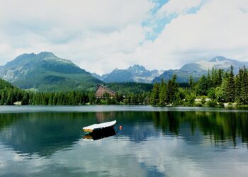 10 Signs You’re on the Path to Financial Freedom