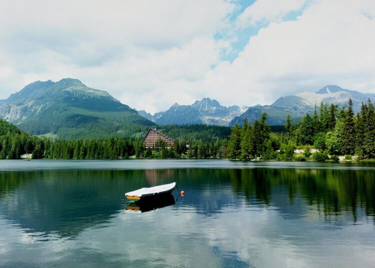 10 Signs You’re on the Path to Financial Freedom