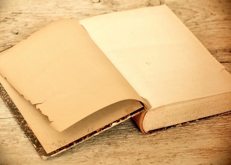 10 Signs You’re on the Path to a Financial Freedom Mindset