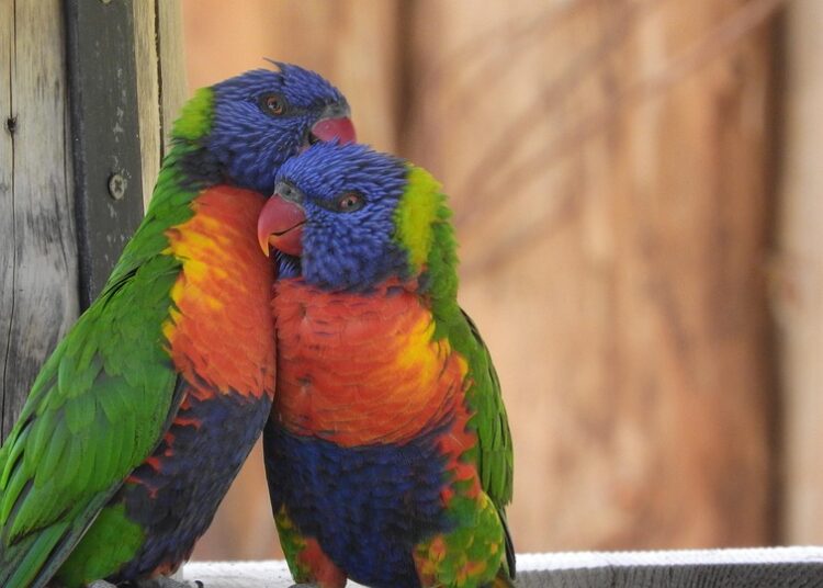 5 Key Benefits of Having a Good Credit Score in the UK: Unlocking Better Financial Opportunities