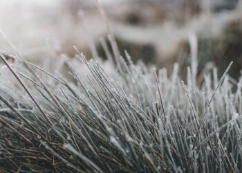 5 Key Benefits of Layer 2 Scaling Solutions You Need to Know