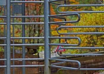 5 Key Benefits of Using a Revolving Line of Credit You Need to Know