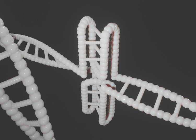 5 Proven Steps to Move from Employee to Business Owner in the B Quadrant