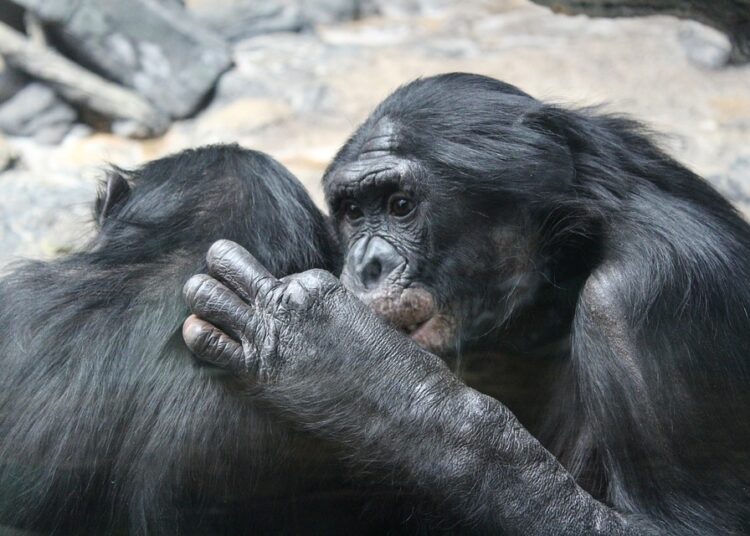 5 Reasons Schwab Intelligent Portfolios Could Transform Your Investment Strategy