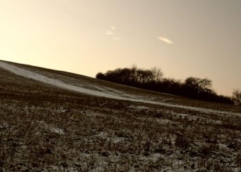 Are High-Yield Checking Accounts Worth It? The Pros and Cons Explained