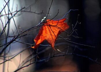 Are You Aware of These 5 Liabilities That Could Be Hurting Your Financial Future?