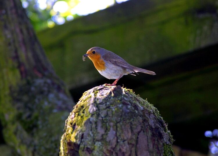 Are You Financially Secure in Your 30s? Common Mistakes to Avoid