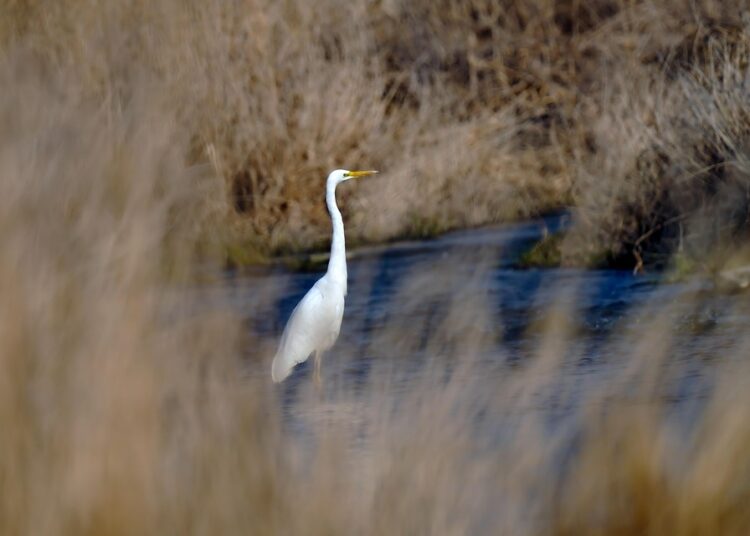 Are You Making These Common Emergency Fund Mistakes? Here’s How to Tell