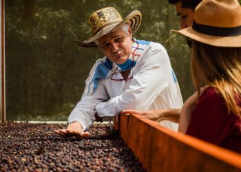 Are You Missing Out? Discover the Best Robo-Advisors That Excel in Tax-Loss Harvesting