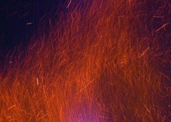 Are You Ready for the FIRE Movement? 5 Signs You Should Dive In Now!