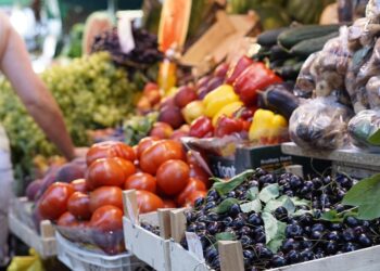 Are You Ready to Invest Sustainably? 5 Common Myths Debunked!