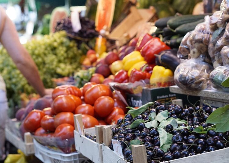 Are You Ready to Invest Sustainably? 5 Common Myths Debunked!