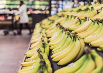 Are You Spending Too Much on Groceries? Here’s How to Cut Costs Without Sacrificing Quality