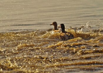 Are You Struggling with Your Financial Goals? Here’s How to Turn Things Around!