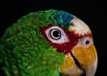 Are You Tired of High Energy Costs? Discover How to Lower Your Electric Bill Today!