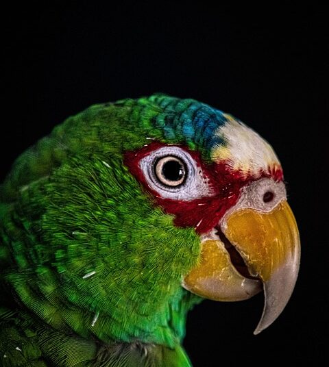 Are You Tired of High Energy Costs? Discover How to Lower Your Electric Bill Today! Are You Tired of High Energy Costs? Discover How to Lower Your Electric Bill Today!