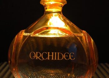 Are You Tired of Living Paycheck to Paycheck? Discover How to Live Below Your Means!