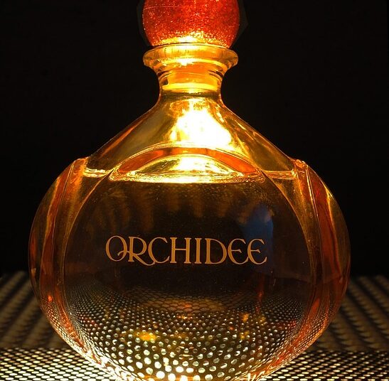 Are You Tired of Living Paycheck to Paycheck? Discover How to Live Below Your Means! Are You Tired of Living Paycheck to Paycheck? Discover How to Live Below Your Means!