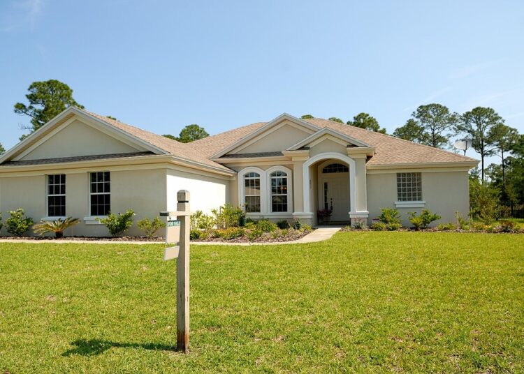 Are You a Beginner? Discover the Best Investments to Kickstart Your Financial Journey!