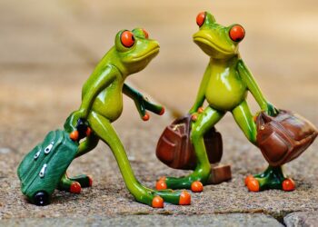 Are Your Utility Bills Too High? Discover 7 Simple Fixes Today!