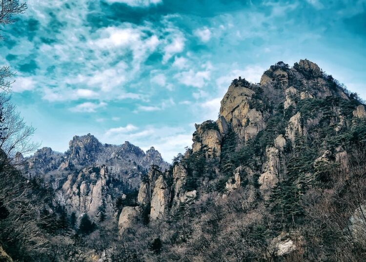 Can You Contribute to a Roth IRA in 2025? What You Need to Know About Income Limits Can You Contribute to a Roth IRA in 2025? What You Need to Know About Income Limits