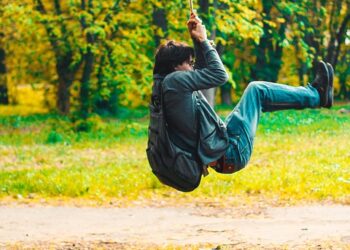 Do Robo-Advisors Really Work? Understanding the Ingredients of a Successful Portfolio