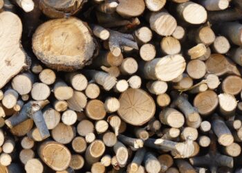 How Does the Stock Market Work? Understanding Key Concepts for Success