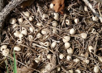 How to Analyze Supply and Demand in Stocks: A Step-by-Step Guide for Investors