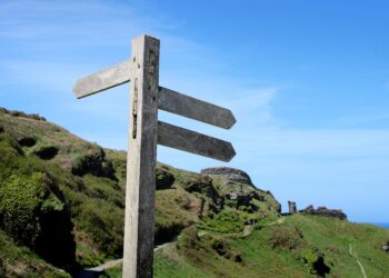 How to Become a Successful Course Creator: A Step-by-Step Guide for Beginners