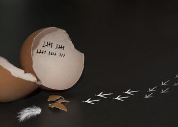 How to Create Wealth: 5 Essential Ideas for Financial Independence