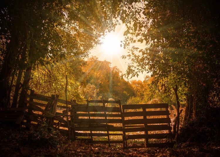 How to Create a Personalized Money Mantra That Transforms Your Finances How to Create a Personalized Money Mantra That Transforms Your Finances