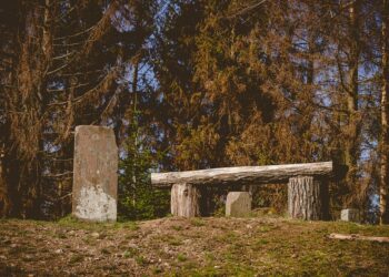 How to Effectively Use a Roth 401k: A Comprehensive Step-by-Step Guide