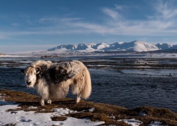 How to Improve Your Credit: What is a Good FICO Score Range to Aim For?