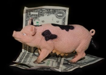 How to Start Wealth Management: A Step-by-Step Guide for New Investors