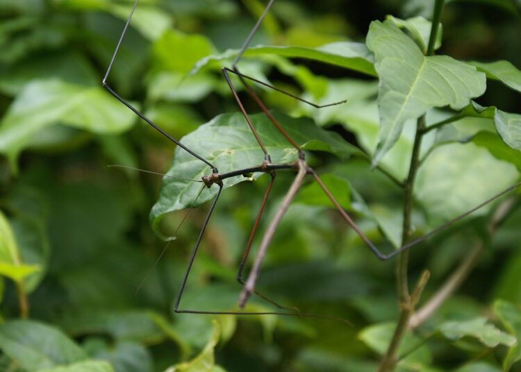 How to Stick to a Budget: 5 Common Mistakes and How to Avoid Them