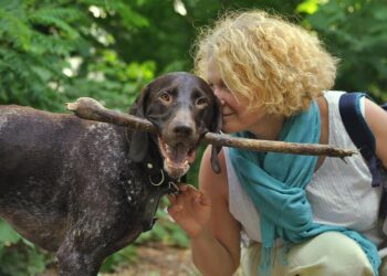 How to Transform Your Relationship with Money: A Comprehensive Guide