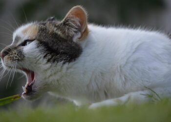 Is It Too Late to Start Your Financial Journey? Discover the Benefits of Learning Finance at Any Age