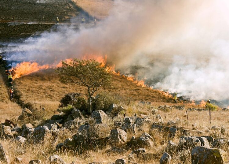 Is It Worth the Risk? Analyzing the Dangers of Investing Your Emergency Fund Is It Worth the Risk? Analyzing the Dangers of Investing Your Emergency Fund