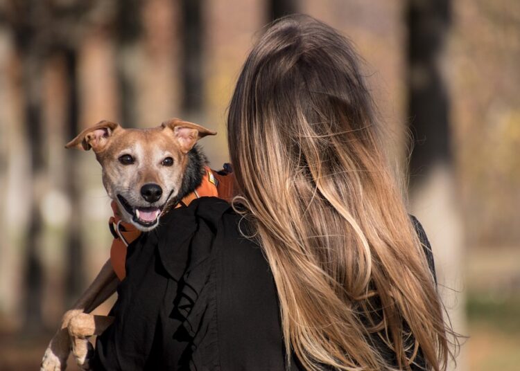 Is Your Business Financially Secure? 5 Signs It’s Time for a Financial Planning Overhaul Is Your Business Financially Secure? 5 Signs It’s Time for a Financial Planning Overhaul