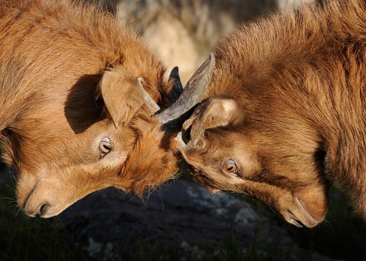 Is Your Credit Report Wrong? Here’s How to Dispute Errors and Improve Your Score