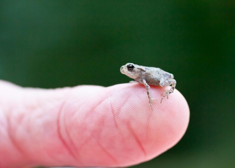 Is Your Credit Utilization Ratio Holding You Back? 7 Signs You Need to Take Action Is Your Credit Utilization Ratio Holding You Back? 7 Signs You Need to Take Action