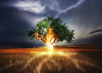 Navigating HELOC Hazards: How to Protect Yourself from Costly Mistakes