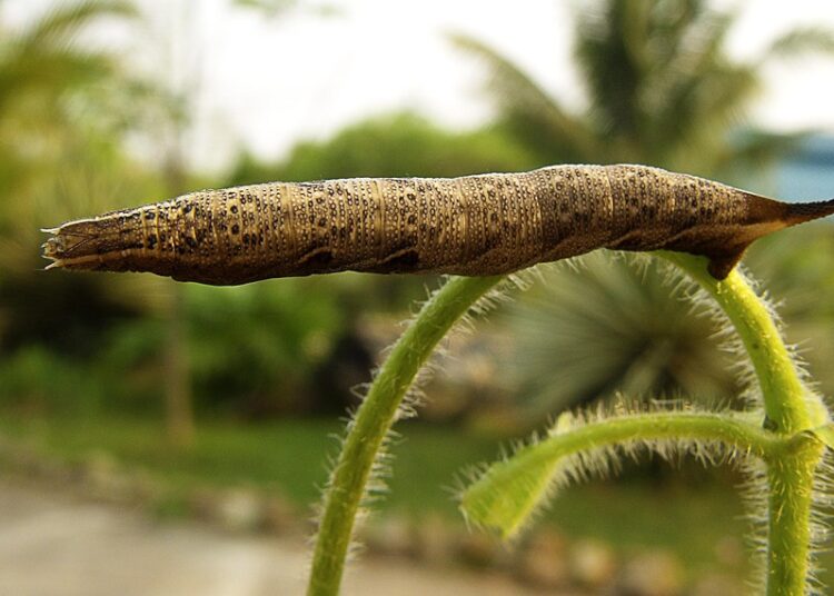 Struggling to Save? Here’s How to Create a Budget That Makes Sense