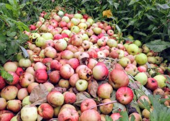 Struggling with Bad Credit? Discover 5 Loan Options to Rebuild Your Future