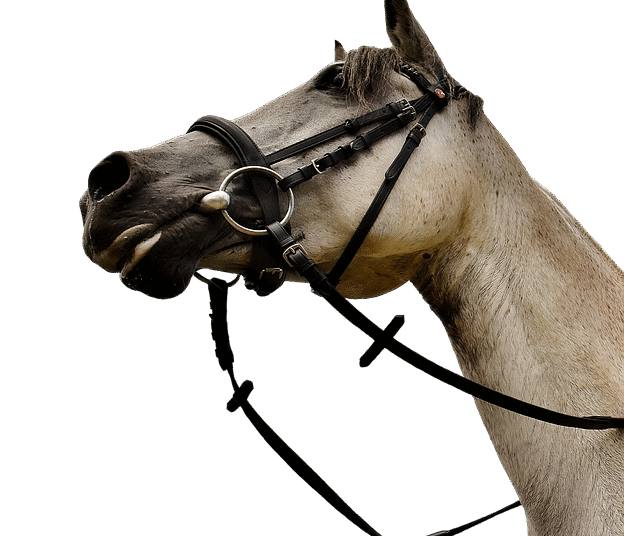 Struggling with Debt on a Tight Budget? Here’s Your Ultimate Guide to Financial Freedom Struggling with Debt on a Tight Budget? Here’s Your Ultimate Guide to Financial Freedom