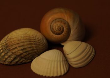 Top 5 Free Budget Templates for Beginners: Find the Right Fit for Your Finances