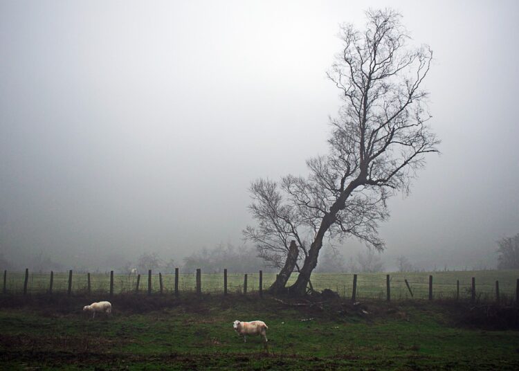 Top 5 Reasons to Consider a Silent Partner for Your Startup Success