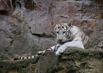 Top 7 Benefits of Debt Consolidation: Is It the Right Move for Your Finances?