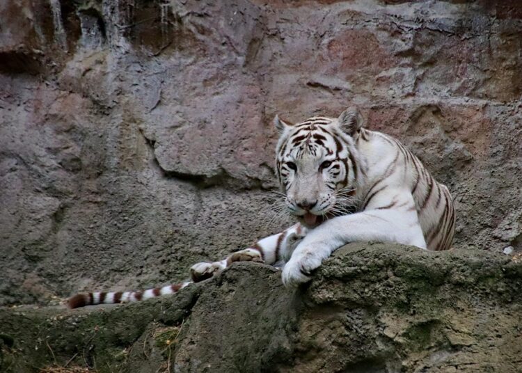 Top 7 Benefits of Debt Consolidation: Is It the Right Move for Your Finances?